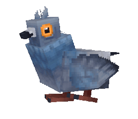 Pigeon